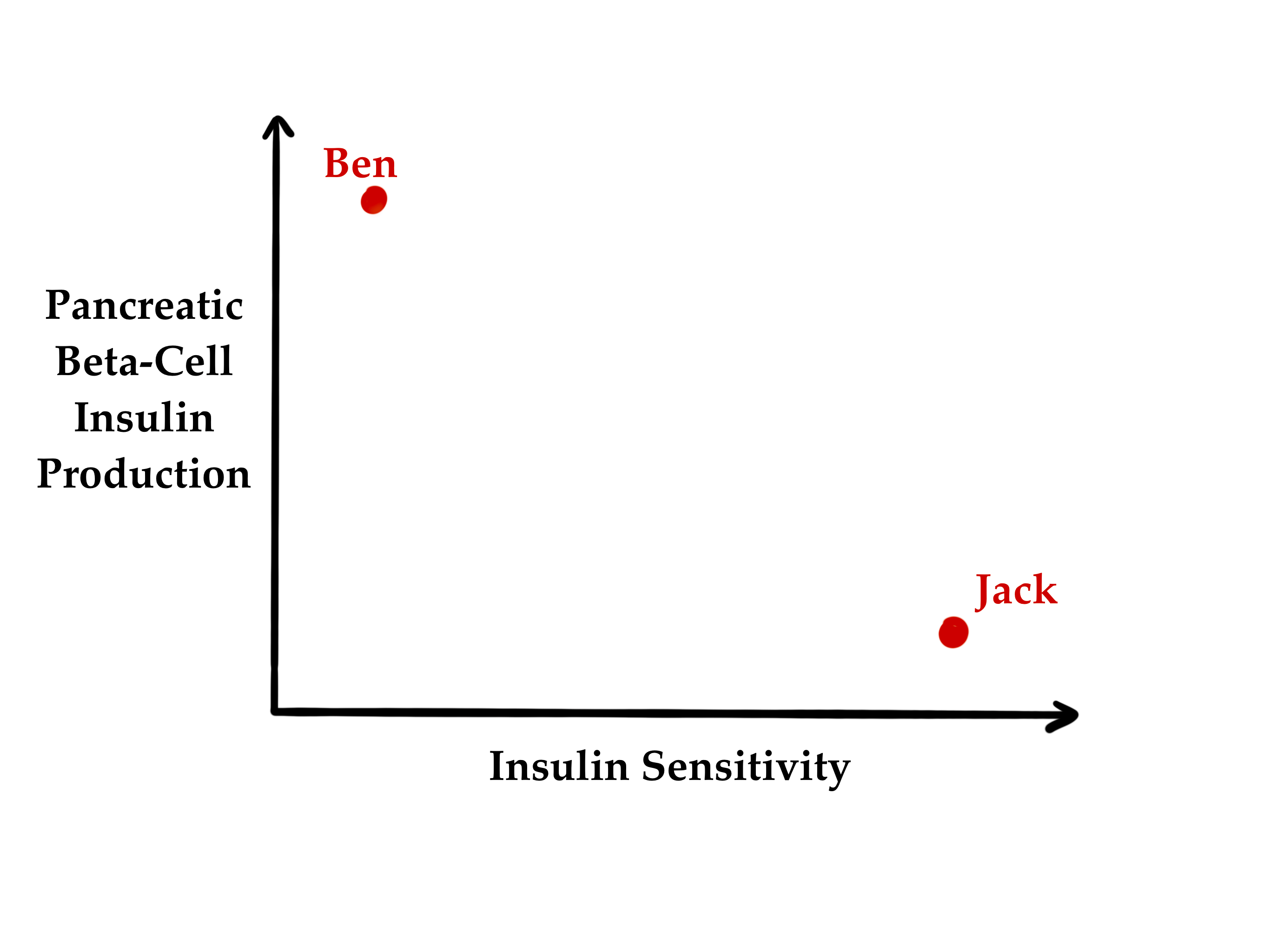 JACK 和 BEN 的胰岛素敏感性和胰岛素生成