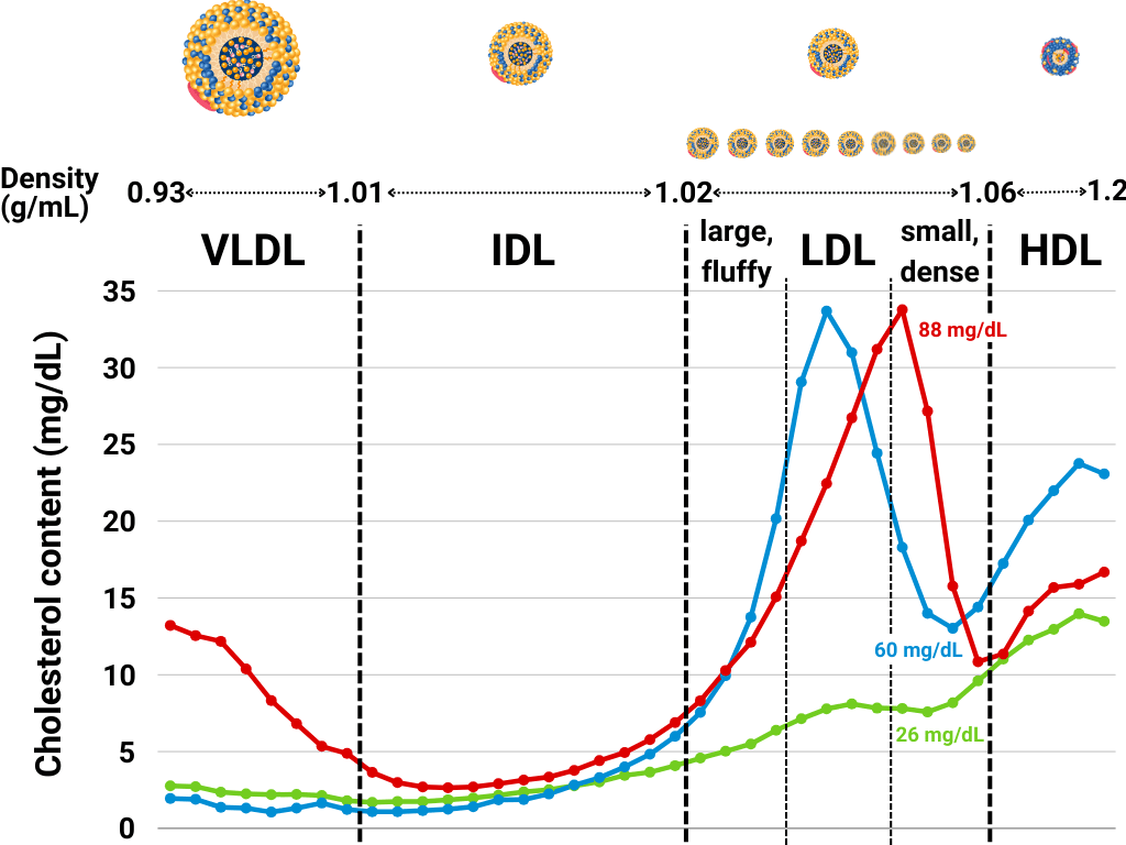 图中显示了整个密度范围内 VLDL、IDL、LDL 和 HDL 颗粒中的胆固醇含量，这使我们能够识别出 LDL 胆固醇主要存在于小而致密的 LDL 颗粒中的个体，如红线所示。然而，蓝线所代表的人在其小而致密的 LDL 颗粒中携带的胆固醇很少。